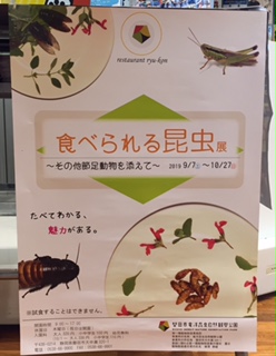 食べられる昆虫展.jpg
