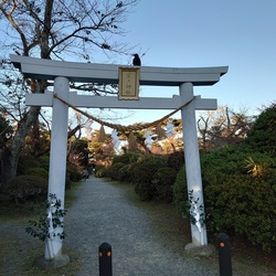 霊犬神社・鳥居カラス.jpg